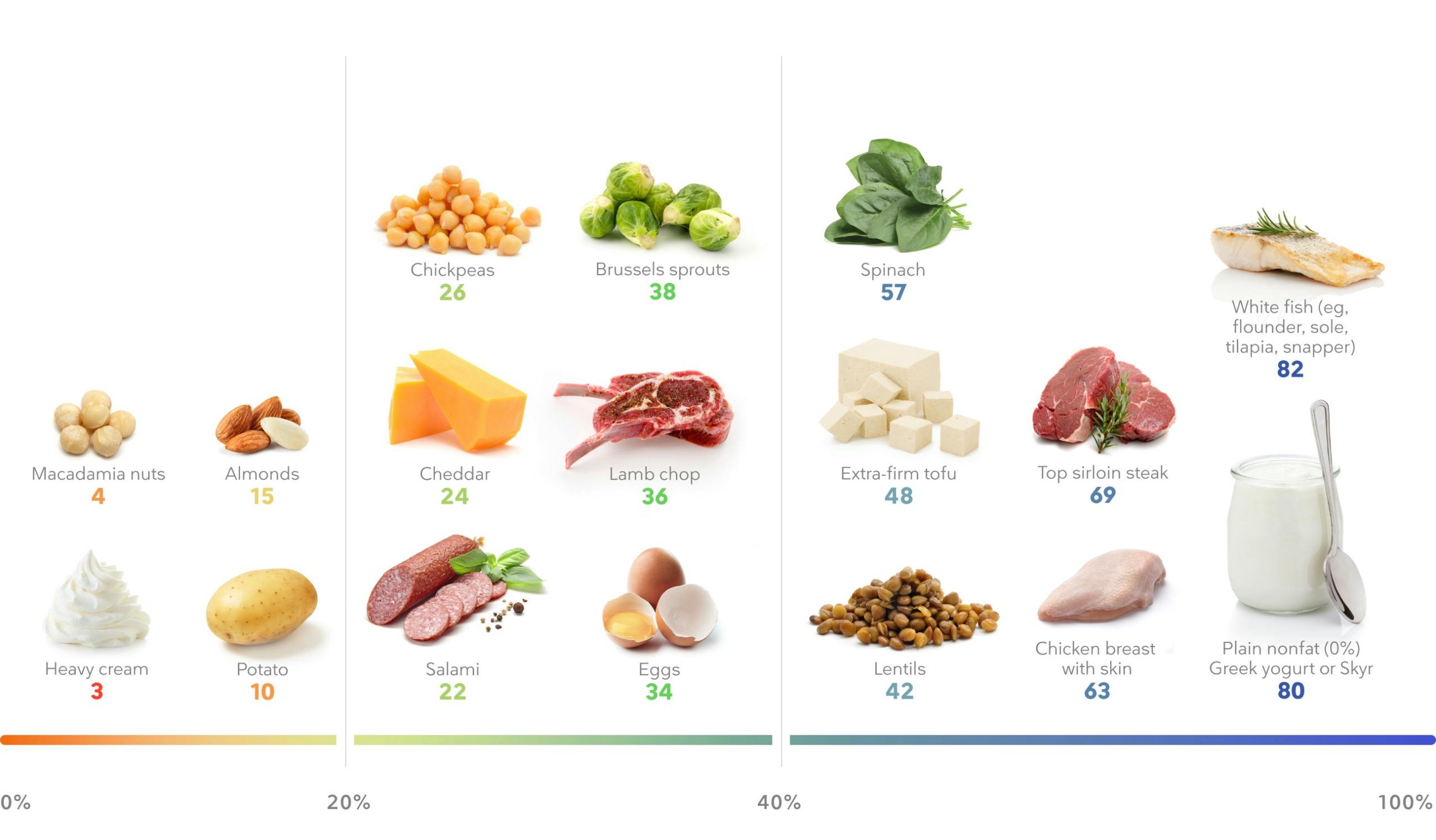 The best high protein foods for weight loss – Diet Doctor - Marie On Diet